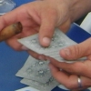 II campionat: finalistes